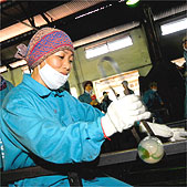 女性の職人さんも活躍です