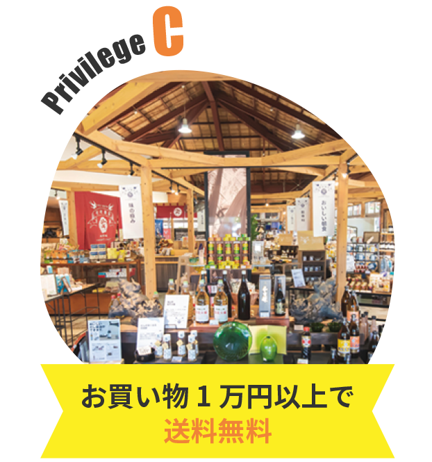 もっとディープに楽しめる琉球ガラス村